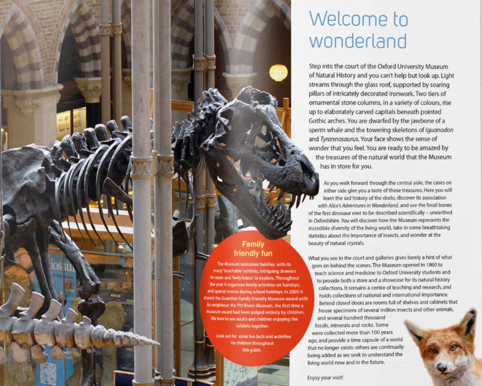 Oxford University Natural History Museum Guide Book