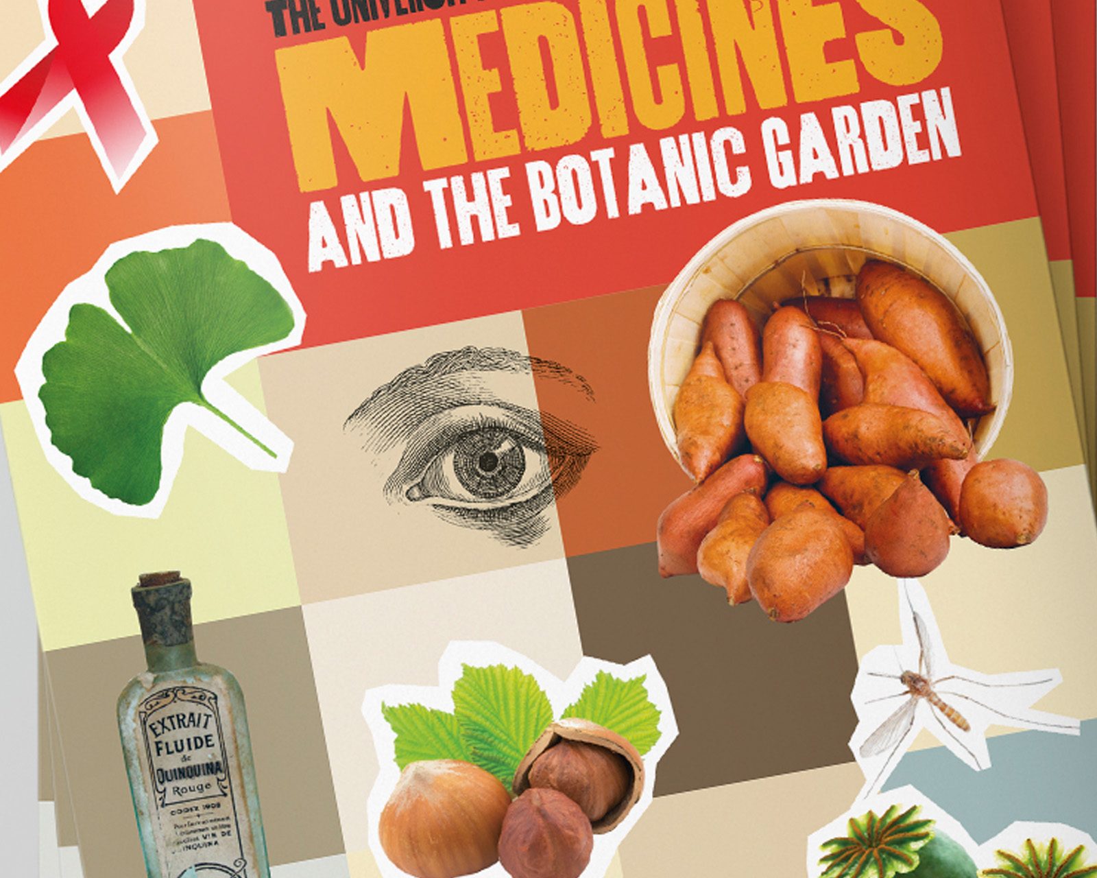 Oxford University Botanic Garden Medicines Leaflet